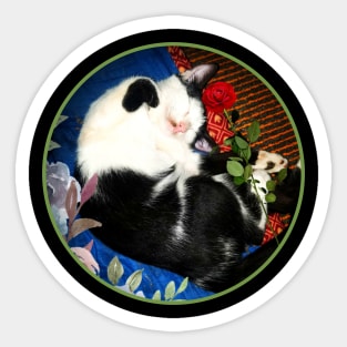 cute cat baby with flowers Sticker